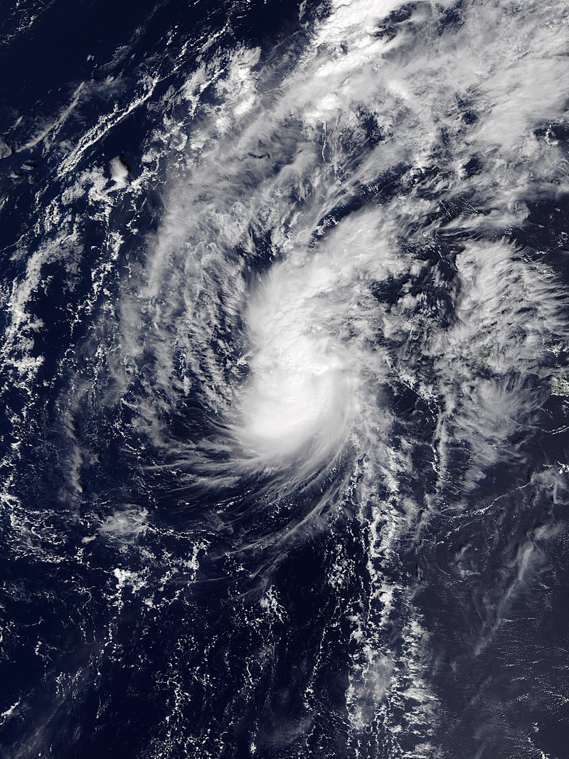 2019年太平洋飓风季