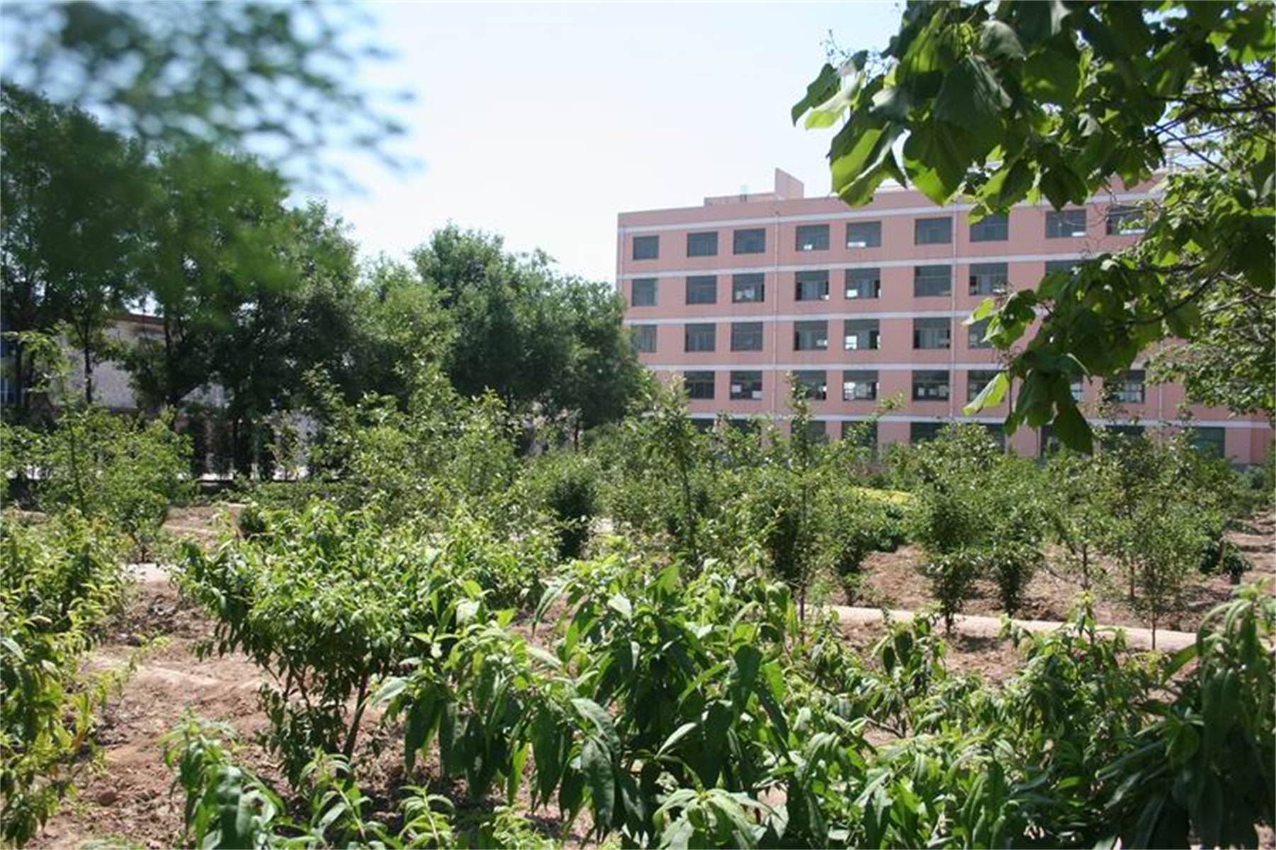 临猗县临猗中学校