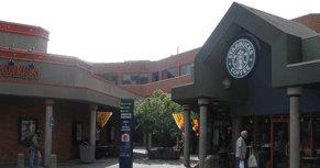 加拿大亚利山大学院