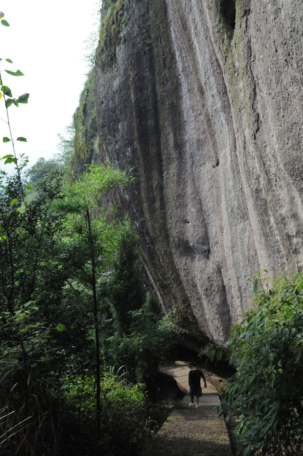  p>石鹅景区位于武义县城西8公里处的桃溪滩境内,面积10平方公里,分石