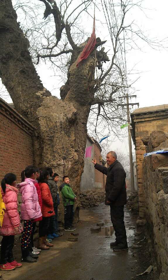 在唐代赞皇李氏家族名人辈出,有"赞皇李半朝"之誉,最具代表意义的是