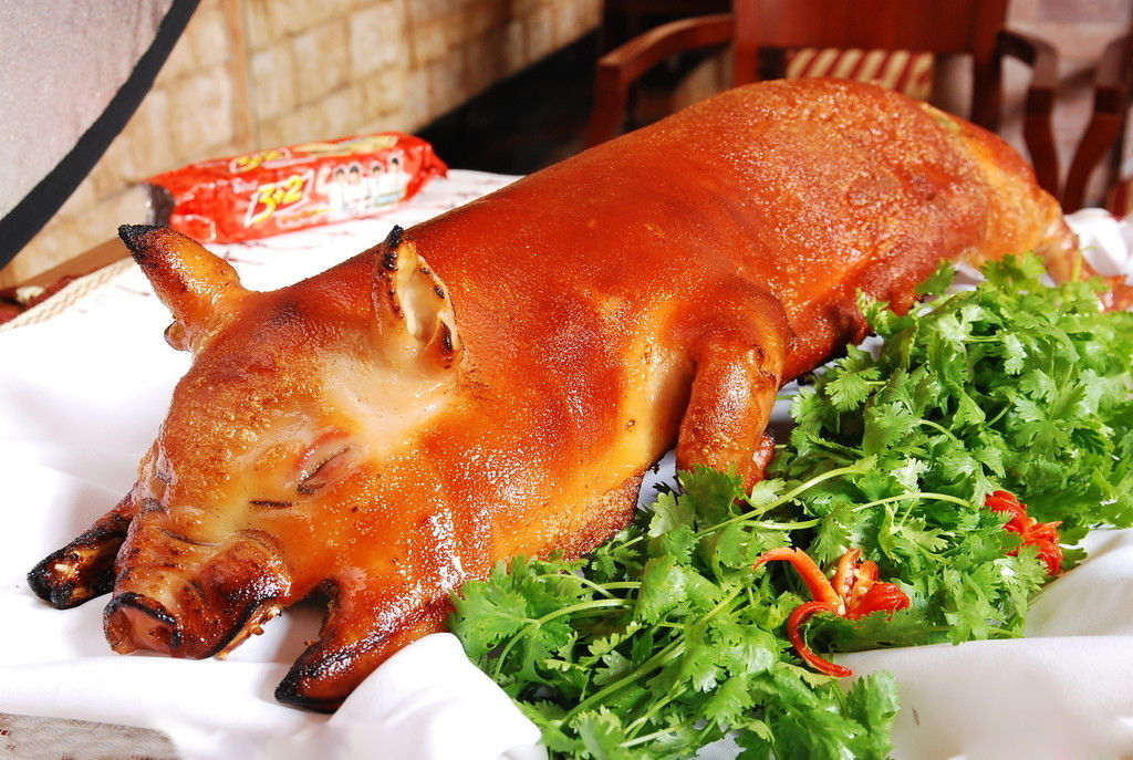  p>烧乳猪是一道美食,主料是小乳猪,辅料是蒜,调料是五香粉,芝麻酱