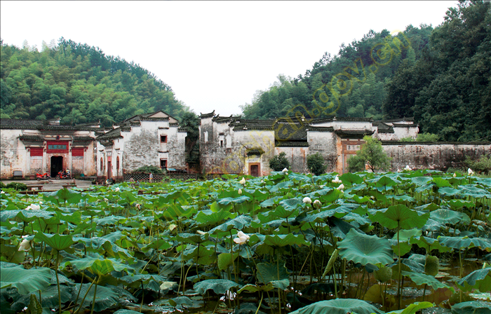  p>休宁县,隶属安徽省 a target="_blank" href="/item/黄山市/212055