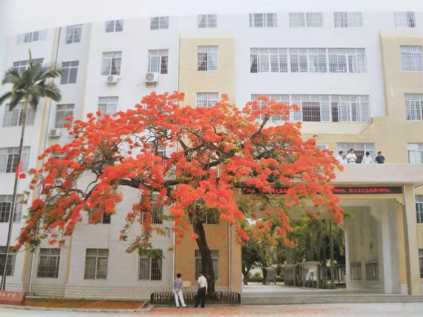 化州市那务中学