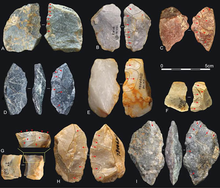 >大荔人遗址是 a target="_blank" href="/item/古人类化石/15093666"