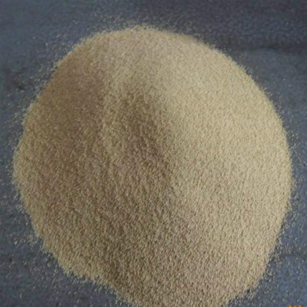  p>酿酒酵母( i>saccharomyces cerevisiae /i>),又称 a href="#"