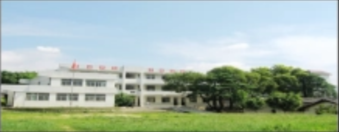 饶平县上饶镇埔坪小学