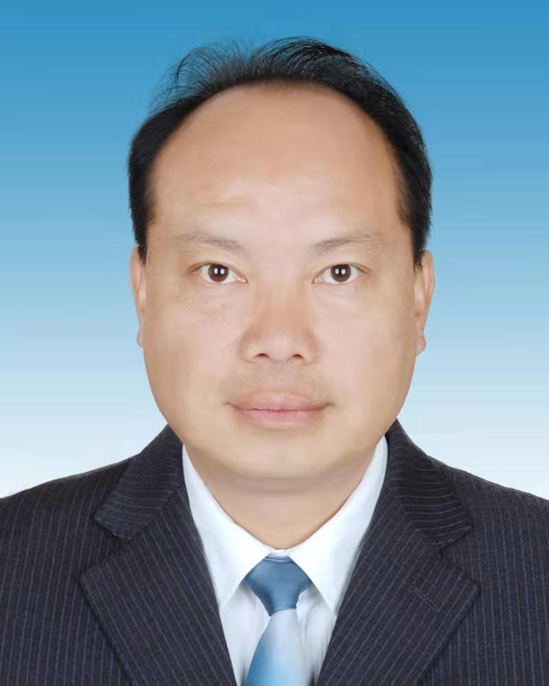 现任云南省楚雄彝族自治州禄丰市金山镇党委副书记,镇人民政府镇长