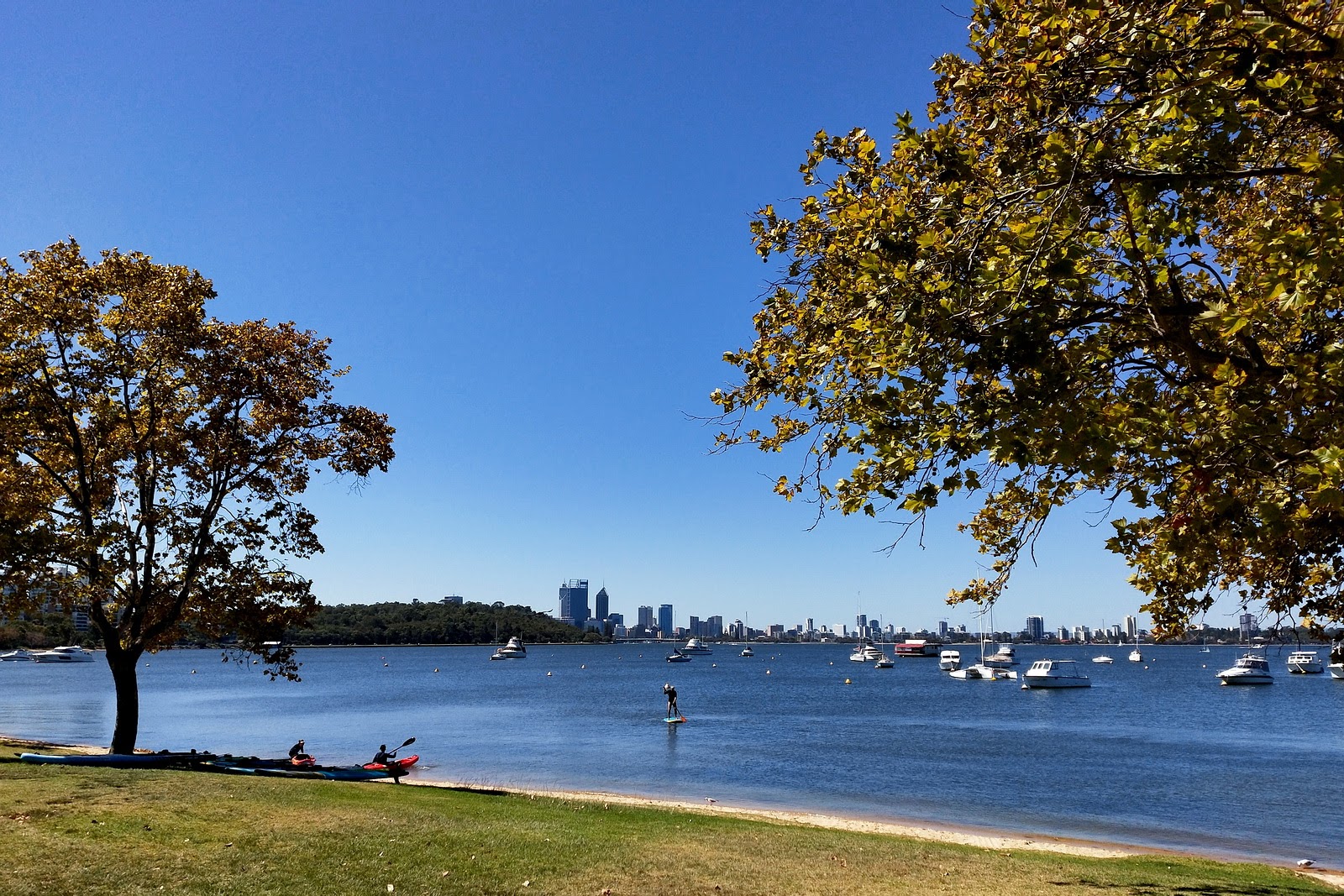  p>西澳大学(university of western australia,简称:uwa),始建于1911