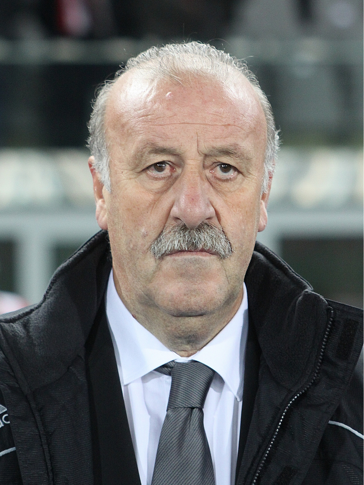  p>文森特·德尔·博斯克(vicente del bosque),1950年12月23日出生于