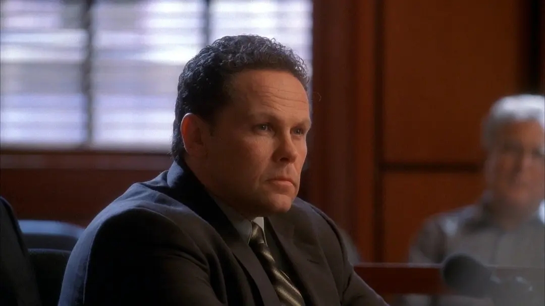 波士顿法律第一季