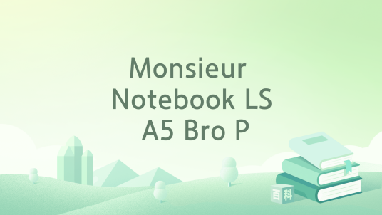 Monsieur Notebook LS A5 Bro P_百度百科