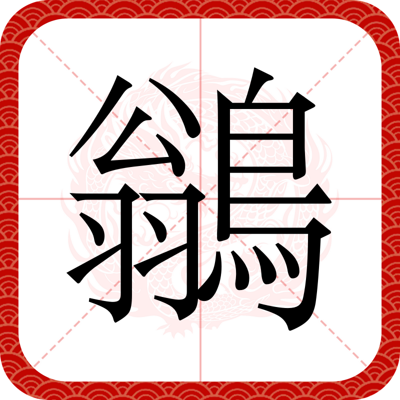鶲