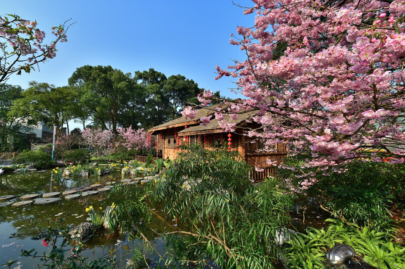 重庆市南山植物园