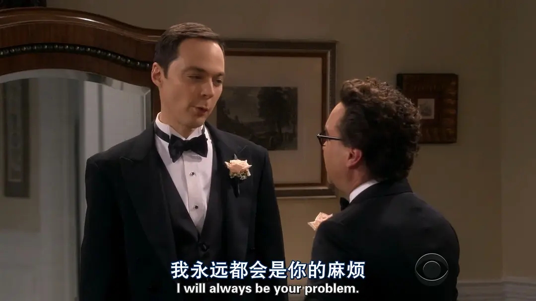 生活大爆炸第十一季
