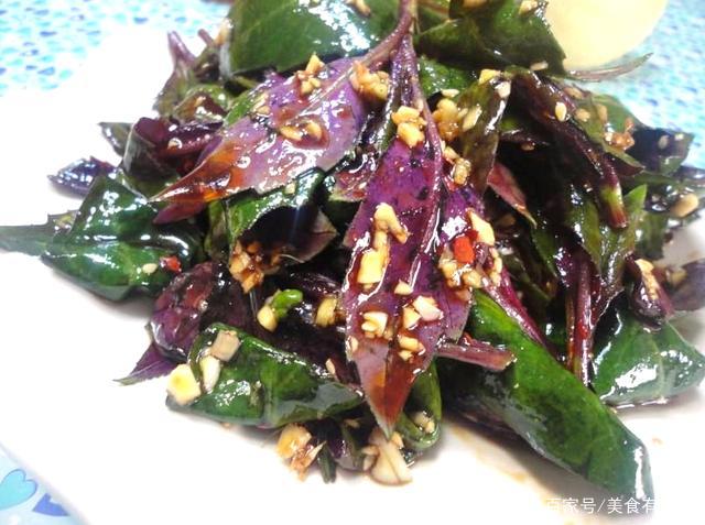 川渝和贵州人爱吃的5种“奇味”蔬菜，营养价值高，三餐少不了_百科TA说