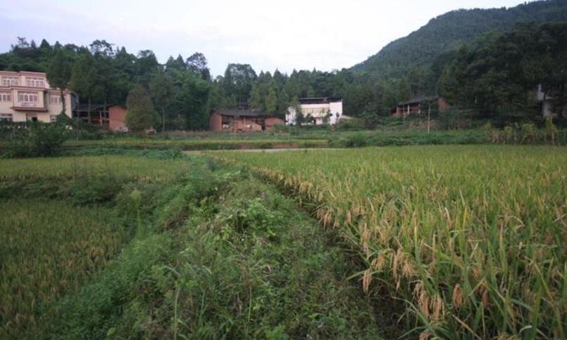  p>文星镇,隶属于四川省南充市仪陇县,地处 a target="_blank" href="