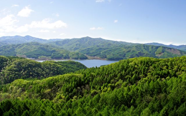 沂源县国有鲁山林场