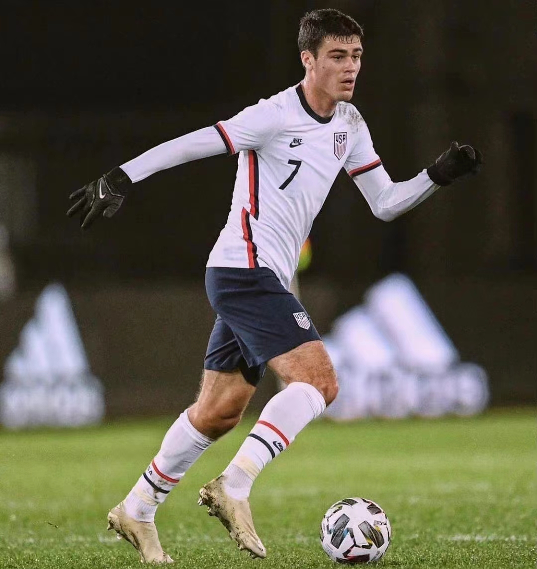  p data-id="gnbhkcwexb">吉奥瓦尼·雷纳(giovanni reyna),全名