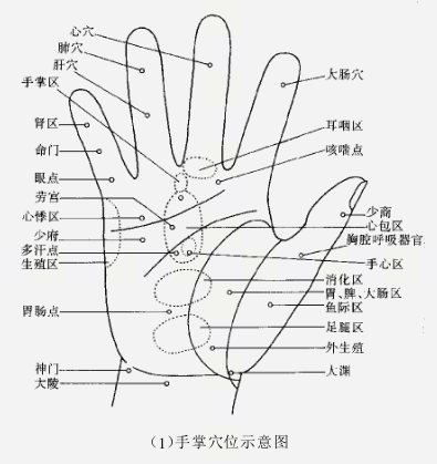  p data-id="gmwx0nx1ni">手穴推拿,是指在手部(手掌或手背)上进行按