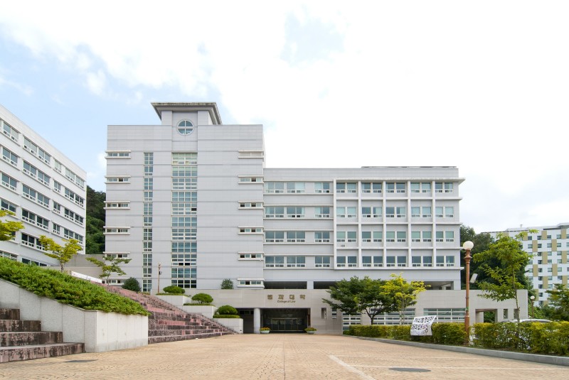  p> b>朝鲜大学 /b>( 朝鲜语:               ,英语: i>chosun