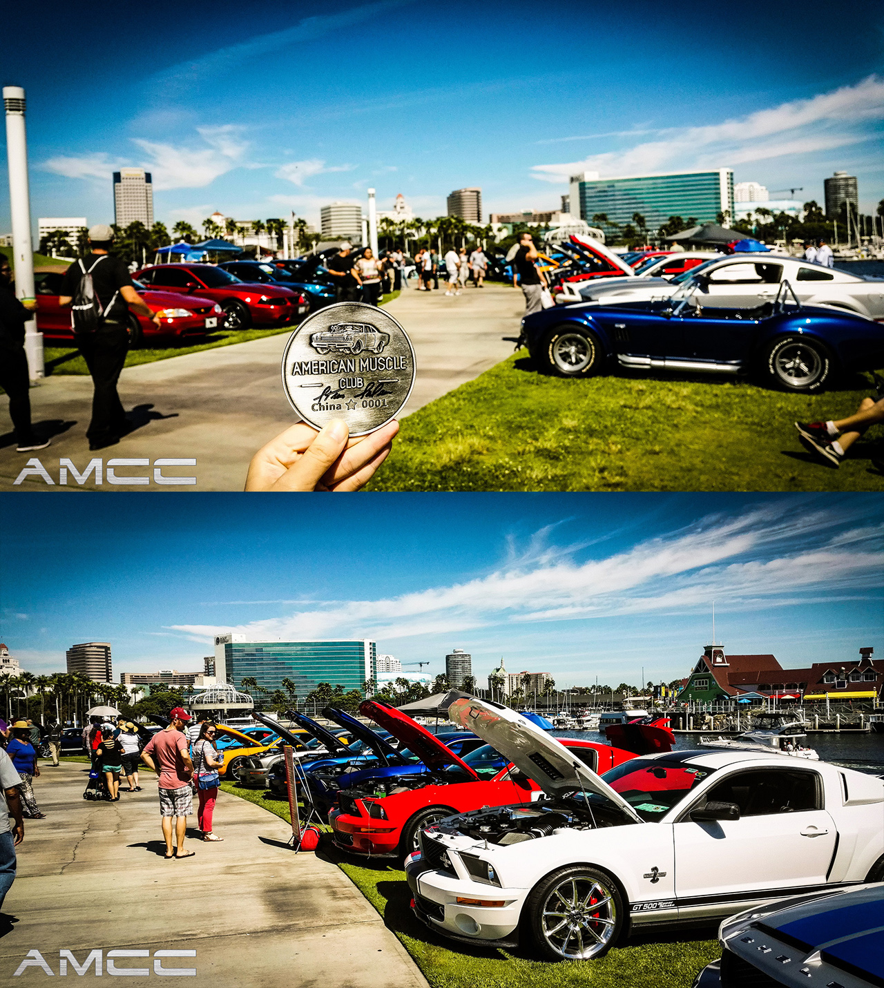 肌肉俱乐部(american muscle club of china,简称amcc)成立于2014年