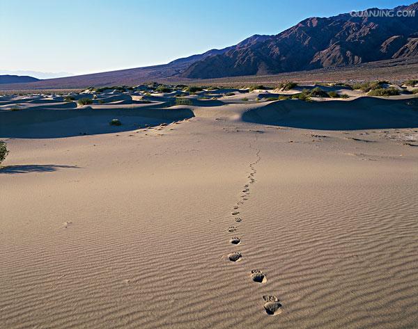  p>死亡谷国家公园(death valley national park)主要位于美国 a
