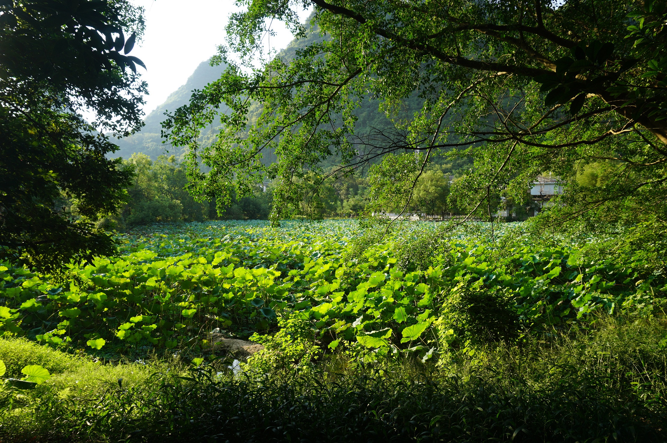 桂林阳朔公园
