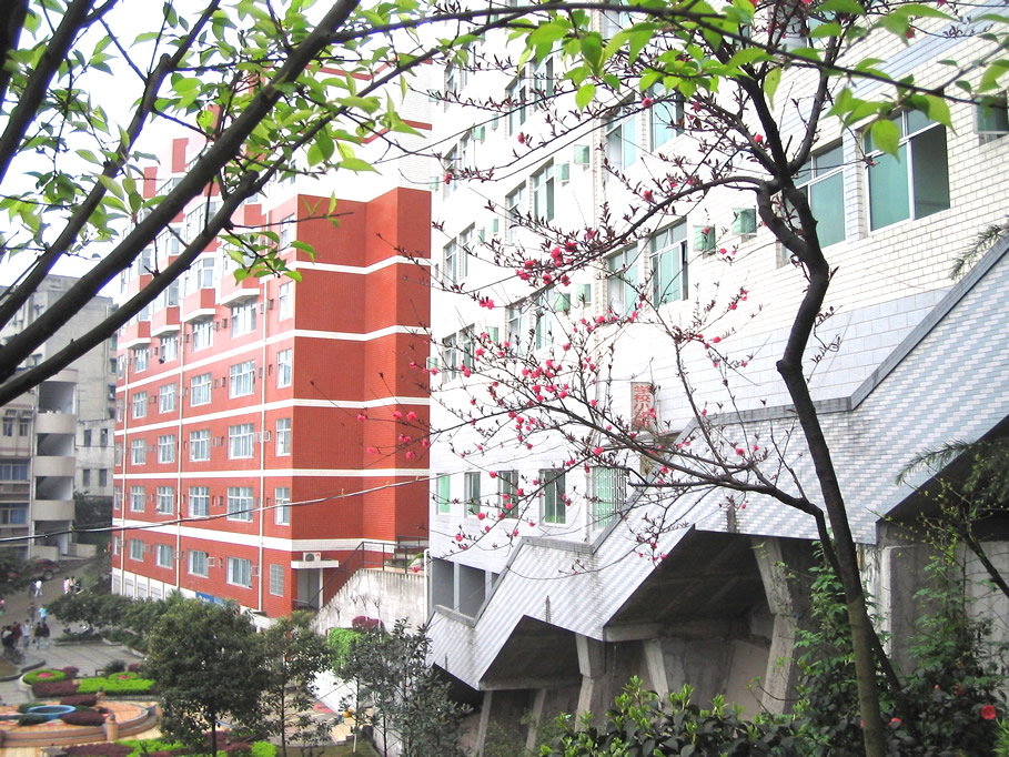  p>重庆市工业学校创建于1956年,是直属于重庆市经济信息委并由市财政
