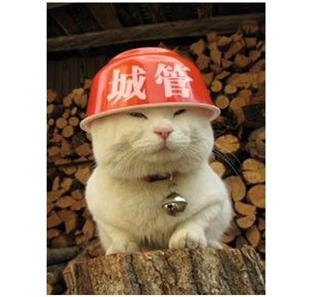  p> a target="_blank" href="/item/猫叔">猫叔 /a>(2002年3月8日