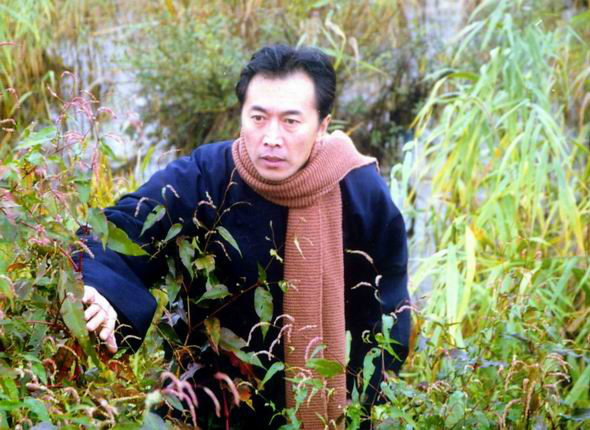 风声鹤唳