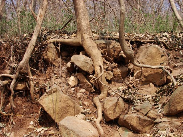  p>蜀山春晓位于安徽省蜀山区西部合肥西郊9公里,海拔284米,总占地