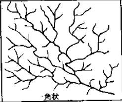  p>是树枝状水系与格状水系的变种.