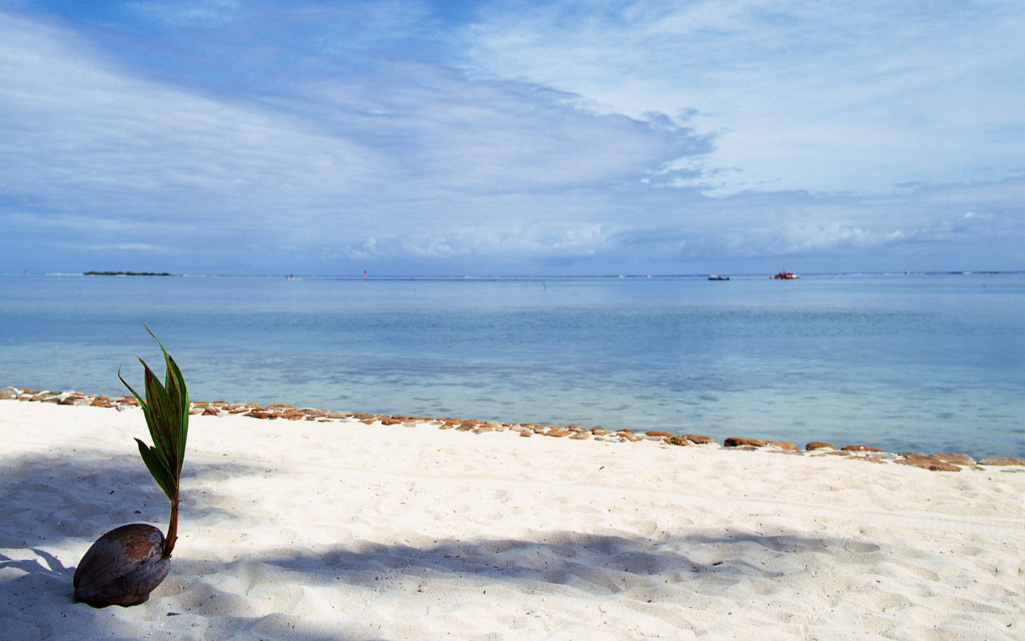  p>塔希提岛(tahiti),港台译为 a target="_blank" href="/item