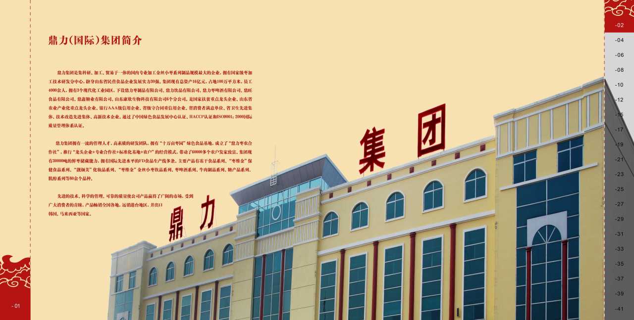 鼎力(国际)集团