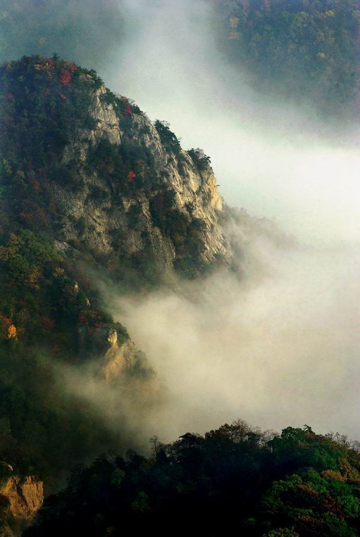 终南山森林公园