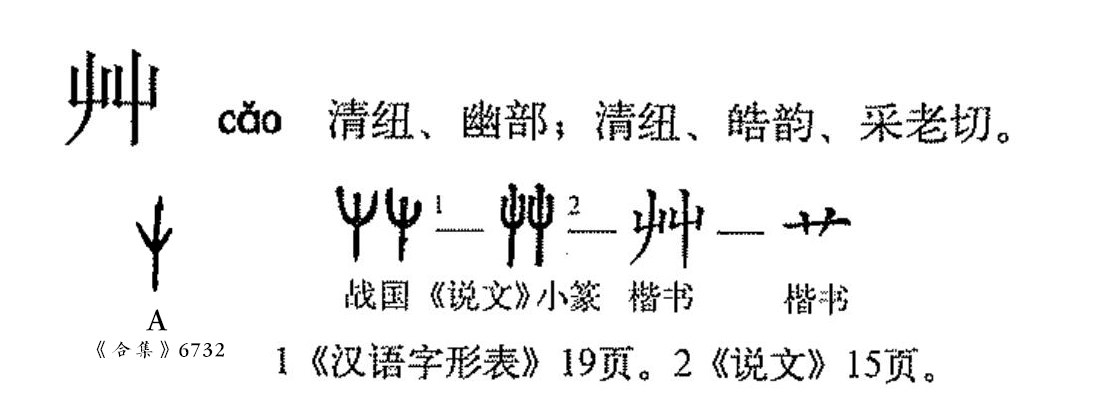 草木的"草"在古文字中写作"艸"或"屮",属象形字,模拟草木初生的样子.