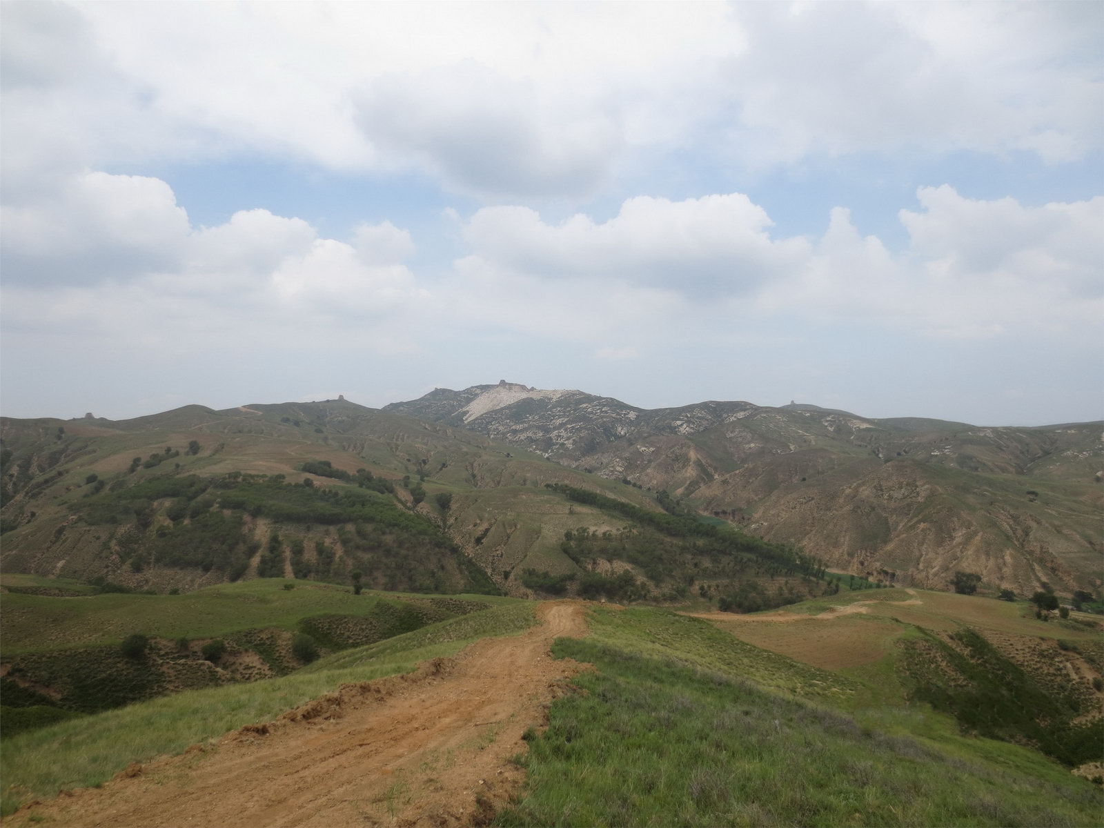 桦林山