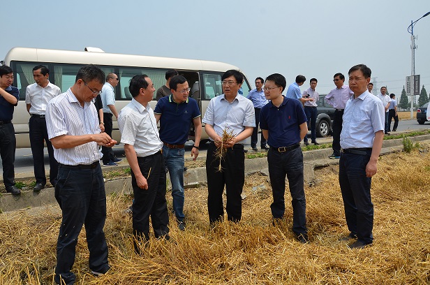 浦头镇,隶属于江苏省扬州市 a target="_blank" href="/item/江都区