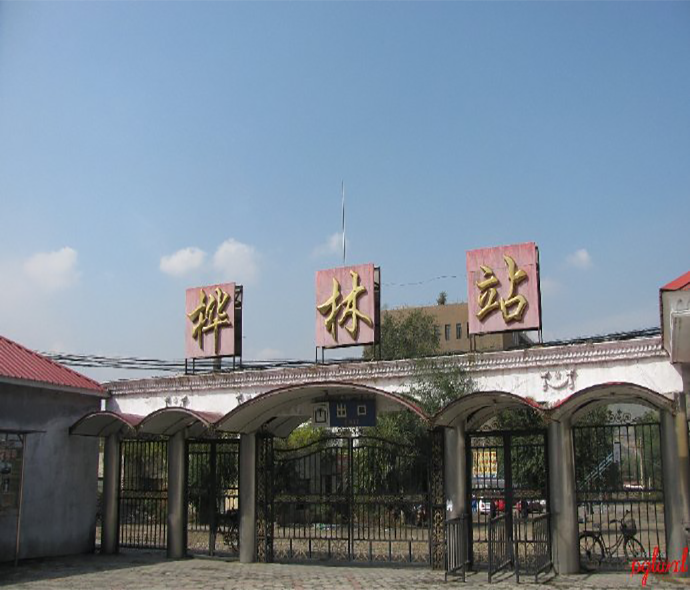 桦林站