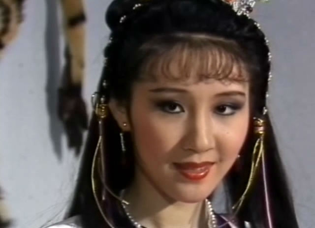 赤胆红颜之天剑龙刀