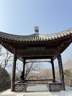 国家植物园 凯西娘娘/摄