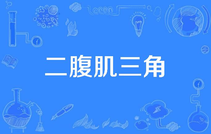  p>二腹肌三角(digastric triangle)是2020年公布的手外科学名词. /p>