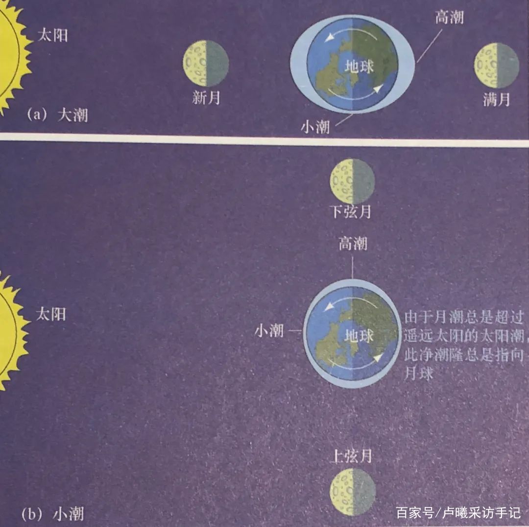 26万的IWC月相潮汐腕表是什么水平？_百科TA说