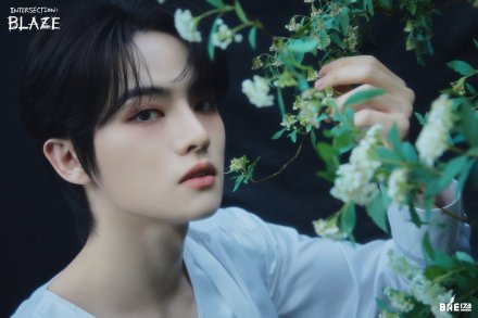 BAE173_百度百科