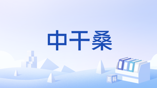 中干桑_百度百科