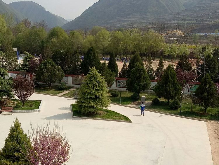  p>崖城镇,隶属于甘肃省陇南市礼县,地处 a target="_blank" href="