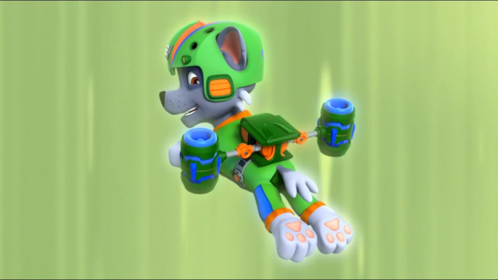  p data-id="go07h6x130">灰灰(rocky)是一只雄性混血狗狗.