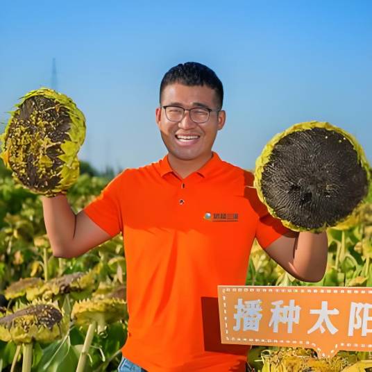 丰向标（原名新疆三瑞）_百度百科