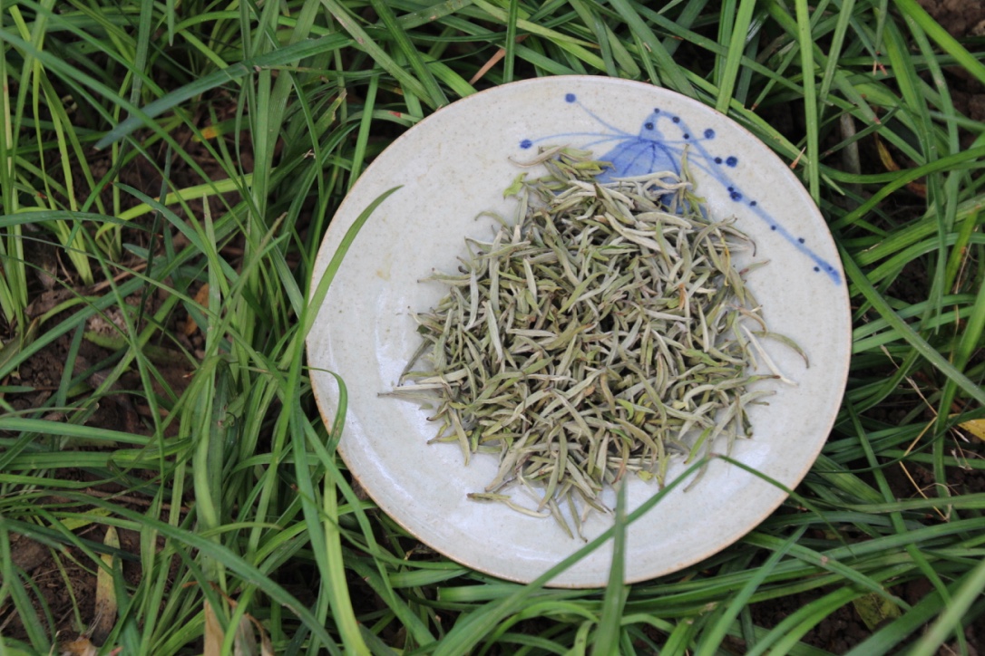  p>天山白,中国原种白茶;源自1522年.